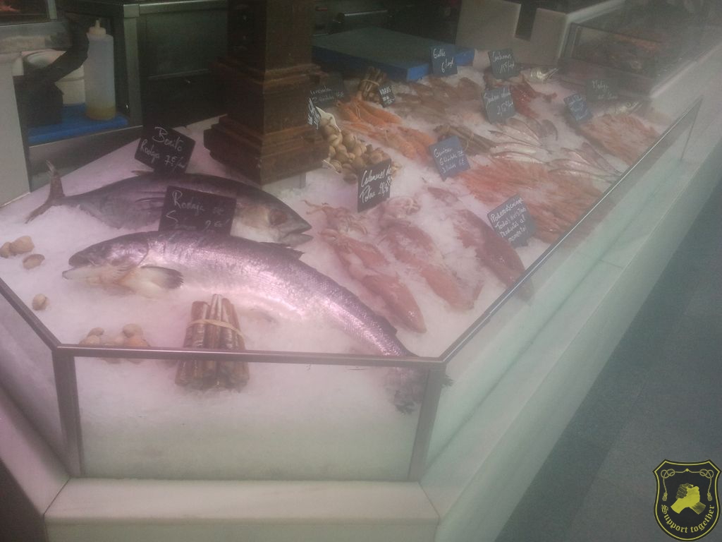 1090 301 432 144.jpg