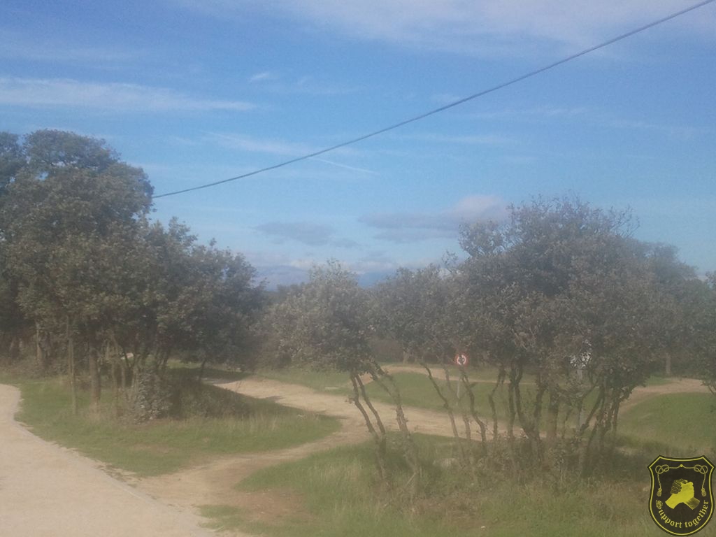 1090 301 432 159.jpg