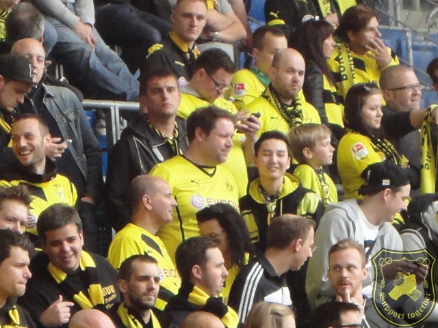 Sinsheim-BVB 02.05.15 045.JPG
