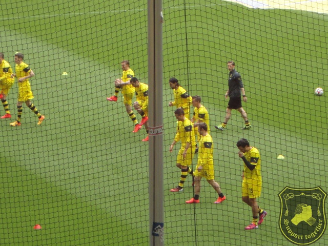 Sinsheim-BVB 02.05.15 056.JPG