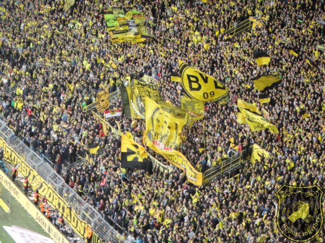 BVB-Kîln 14.05.16 088.JPG