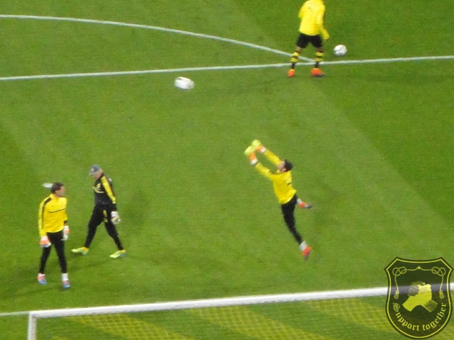 BVB-GE 29.10.16 046.JPG