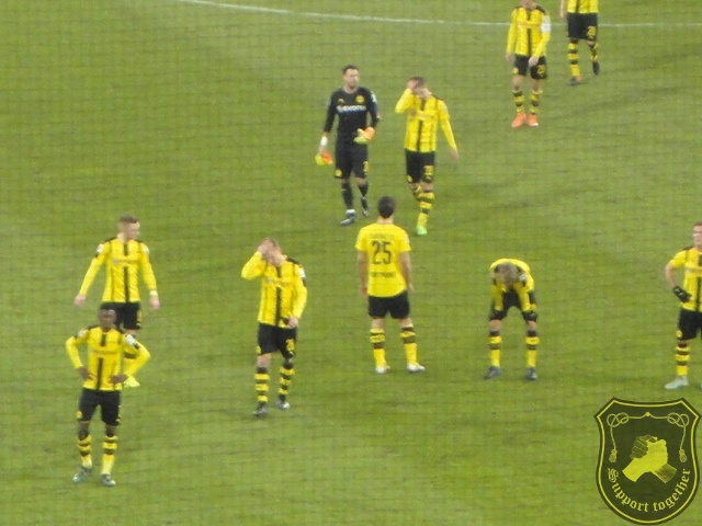 Mainz-BVB 29.01.17 118.JPG