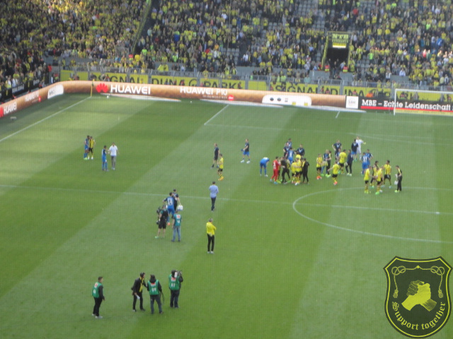 BVB-Hoppenheim 06.05.17 058.JPG