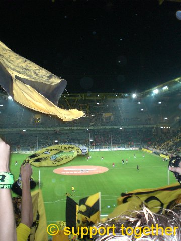 BMG-BVB015.jpg